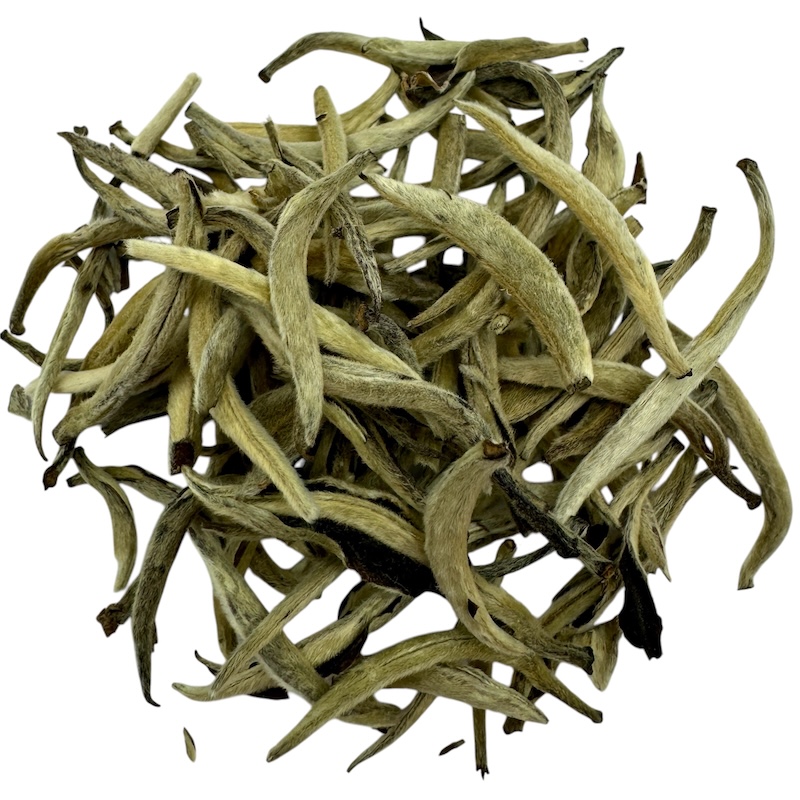 YIN ZHEN
