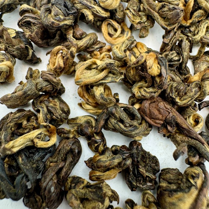 YUNNAN JASMINE GOLDEN SPIRAL