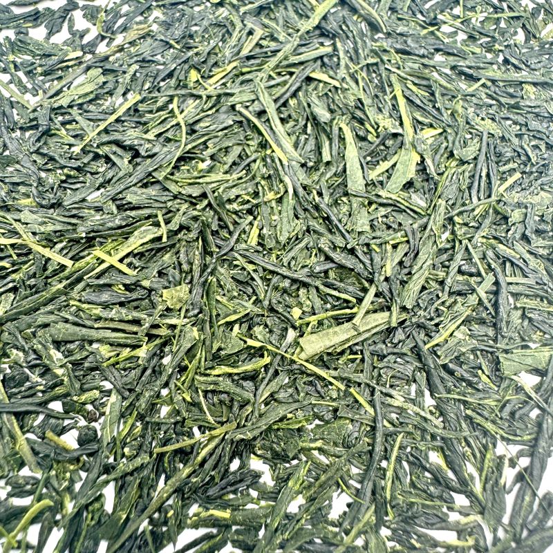 SHINCHA SENCHA UJI 2026