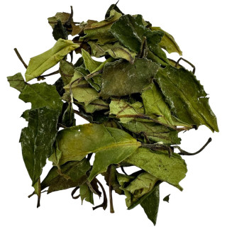 BAI MU DAN